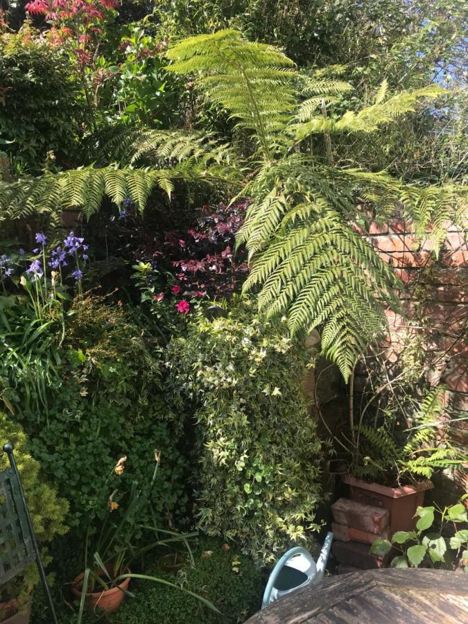 1920'S House. Private En Suite Sitting Room . Dog Friendly Teignmouth Bagian luar foto
